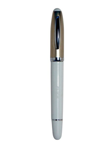 Torpido Fountain Pen Series Rs 200.00